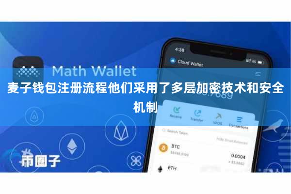 麦子钱包注册流程他们采用了多层加密技术和安全机制